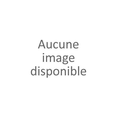 Vis pour Bois en Inox Classic Tête Torx pour extérieur